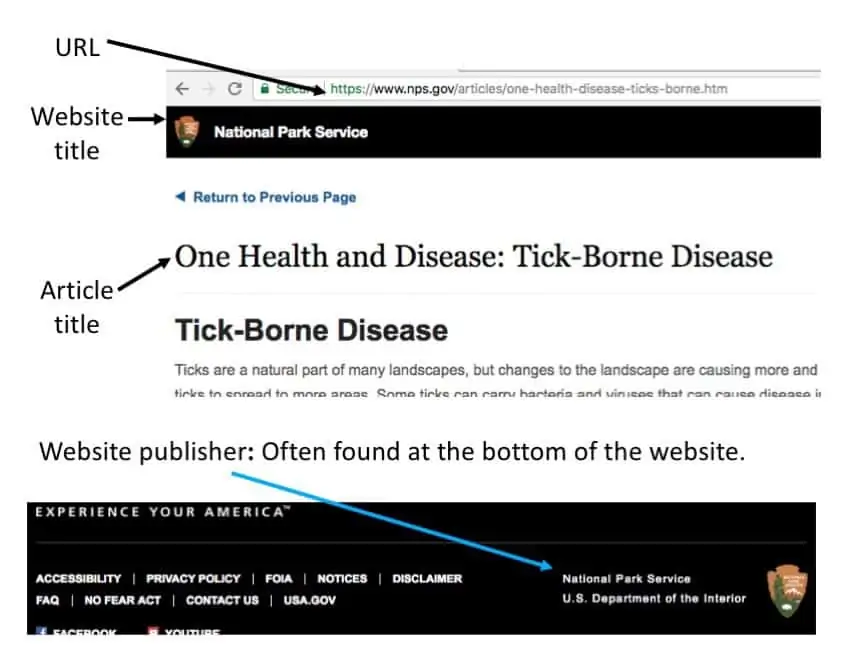 How To Cite A Website In MLA A Complete Guide EasyBib Citations